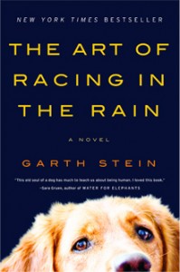 art-of-racing-in-the-rain