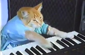 youtube_cat_0930